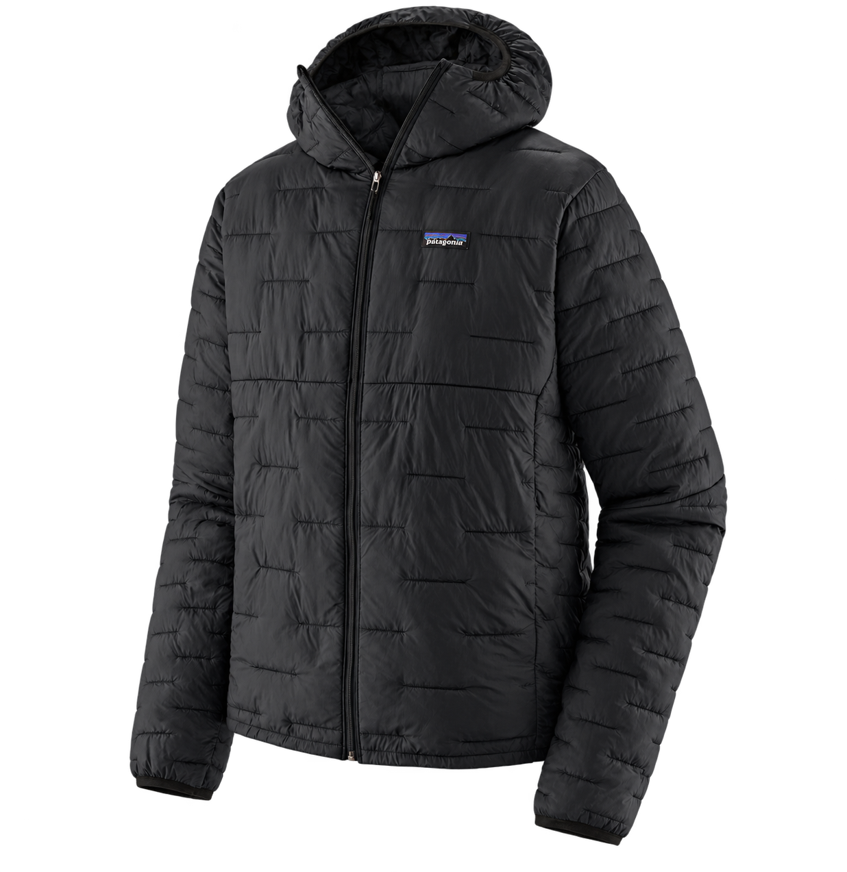 Patagonia Micro Puff Hoody — Black