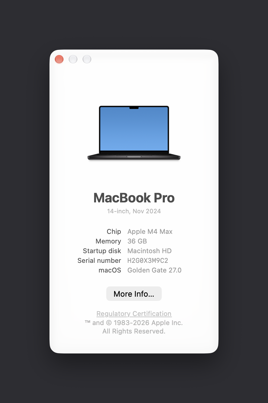 MacBook Pro system information